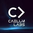 Caelum Labs