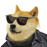 DOGEFI|DOGEFI