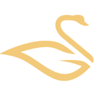 GOLD|黄金鹅|Golden Goose