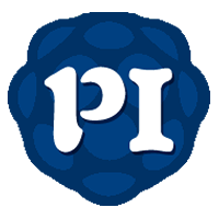 PIC|派币|Pi Coin Token