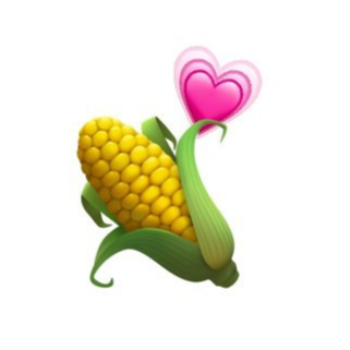 CORN|玉米|CORN