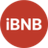 iBNB|Synth iBNB